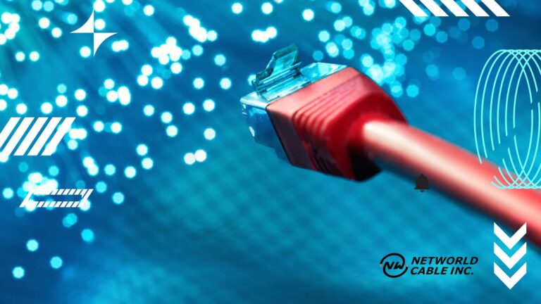 networld cable (10)